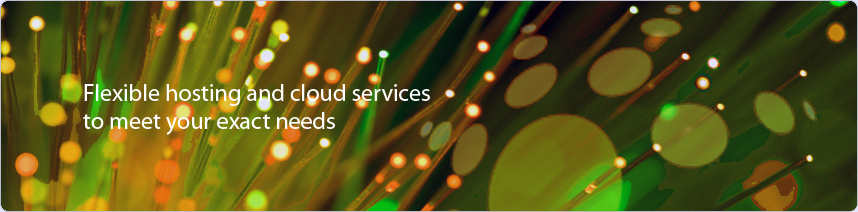 Flexible hosting and cloud services to meet your exact needs